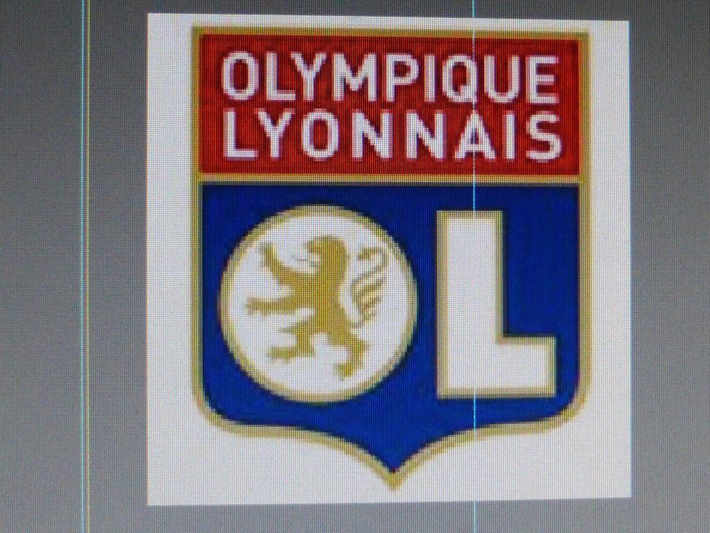 Laennec Otel Lyon Dış mekan fotoğraf